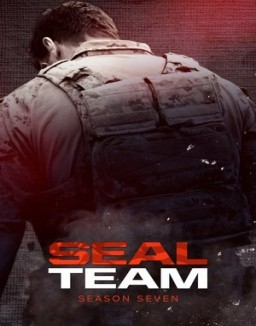 SEAL Team online